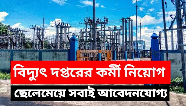 Employment in Electricity Department